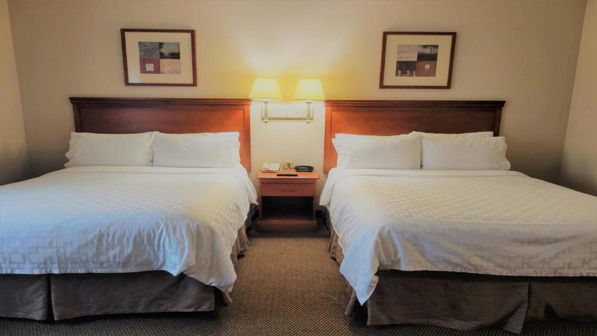 แคนเดิ้ลวูด สวีท ซานอันโตนิโอ ดาวน์ทาวน์ Hotel ภายนอก รูปภาพ
